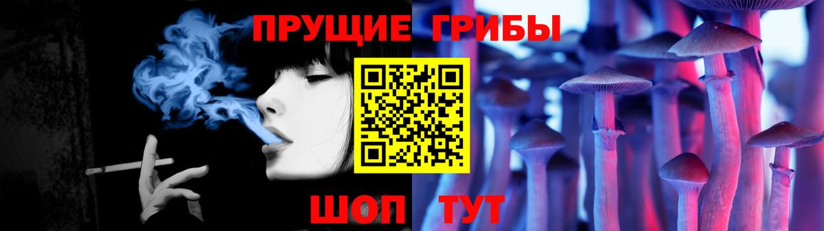 Галлюциногенные грибы Psilocybine cubensis  Вход с VPN  Лесозаводск 